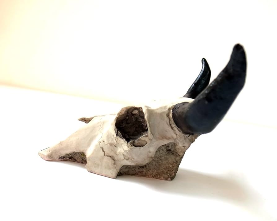 Amazon.co.jp: ネイティブ アメリカン バッファロー スカルヘッド/牛