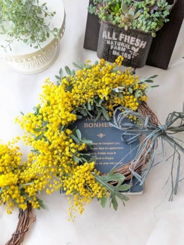 ミモザ ドライフラワー リース」の人気商品一覧 | 安い商品を通販
