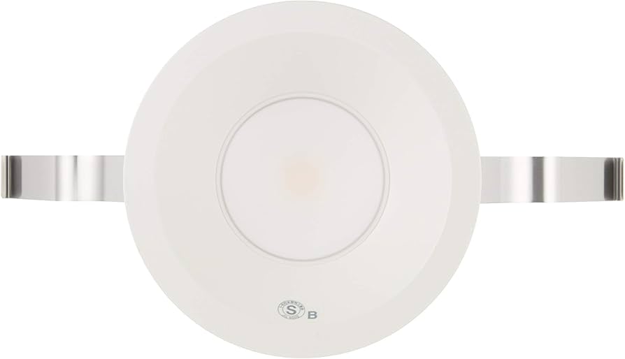 Amazon.co.jp: 大光電機（DAIKO） ダウンライト(軒下兼用) LED