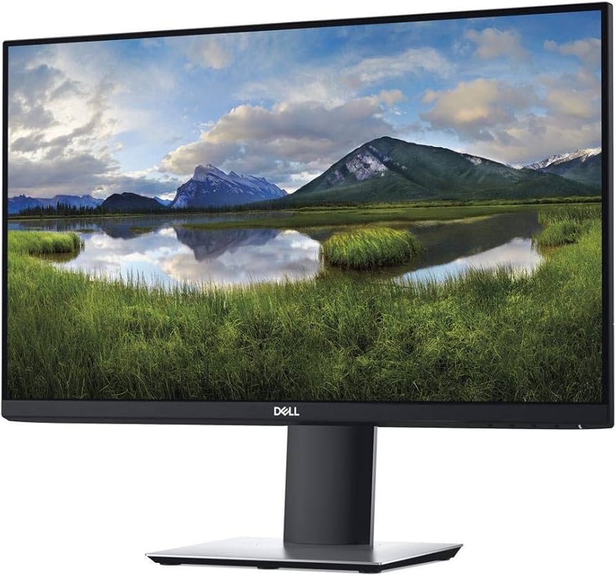 Amazon.com: Dell 27IN Monitor P2719H, Black (P2719HE) : Electronics