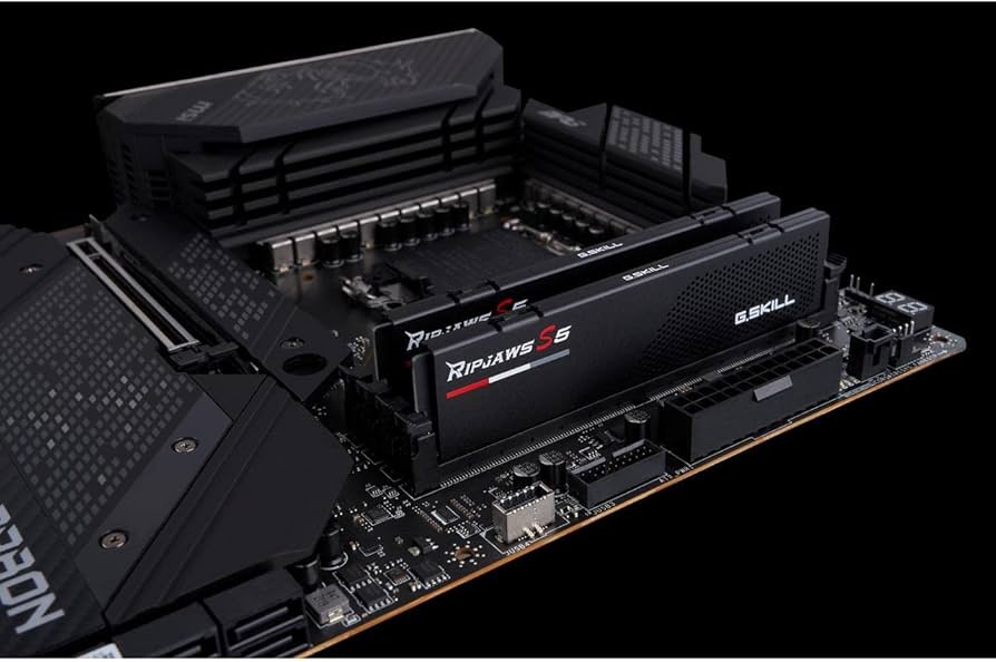 Amazon.co.jp: MEM 2 * 32G|GSK F5-6000J3636F32GX2-RS5K : パソコン