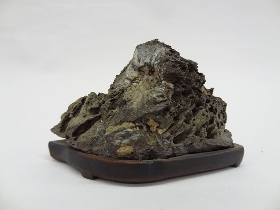 Amazon.co.jp: C0016 水石 多摩菊花石 Tmakikka-seki 台付 : ホーム