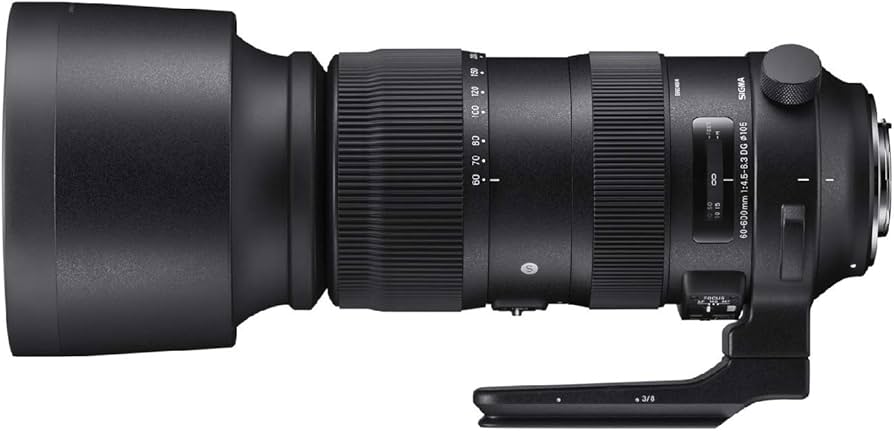 Amazon.co.jp: シグマ(Sigma) SIGMA シグマ Canon EFマウント レンズ