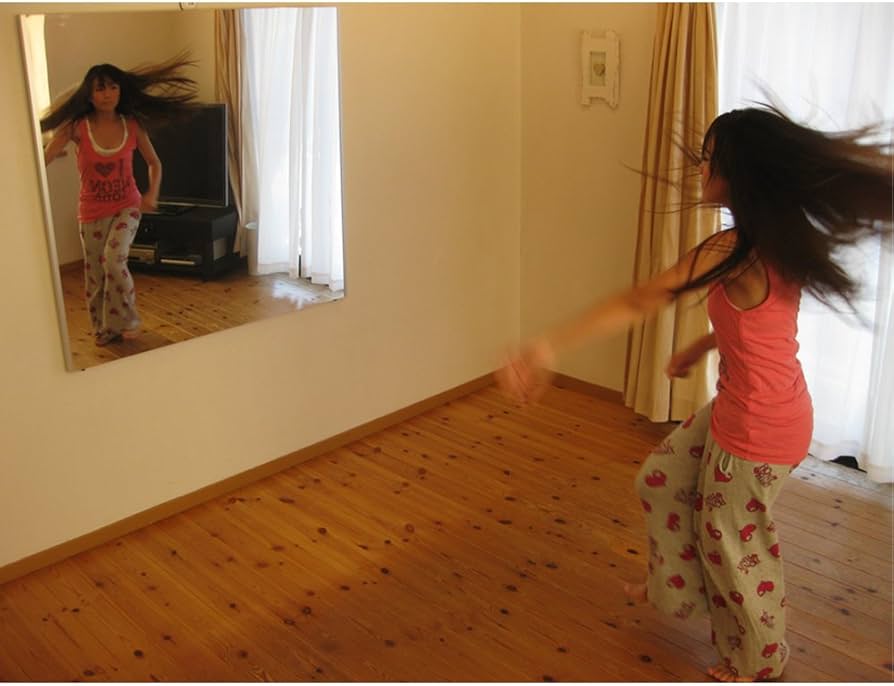 Amazon.co.jp: refex(リフェクス) 割れない軽量ダンス用ミラー avex