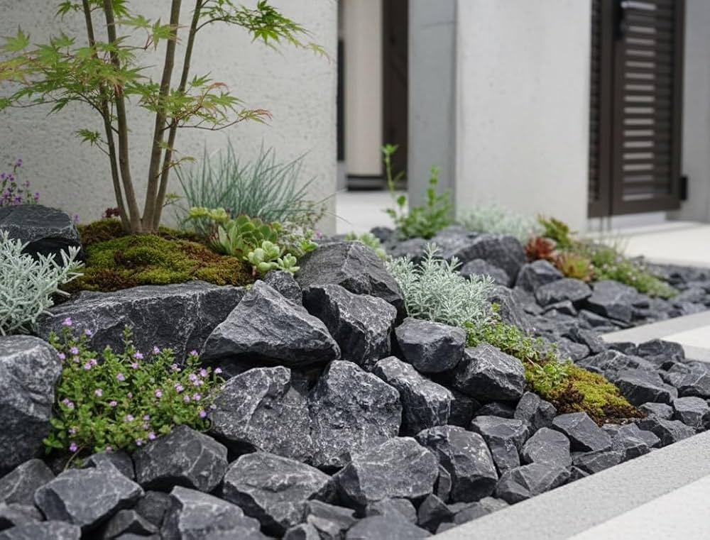 Amazon.co.jp: ロックガーデン 石 庭石 割栗石 黒 ブラック ゴロタ石