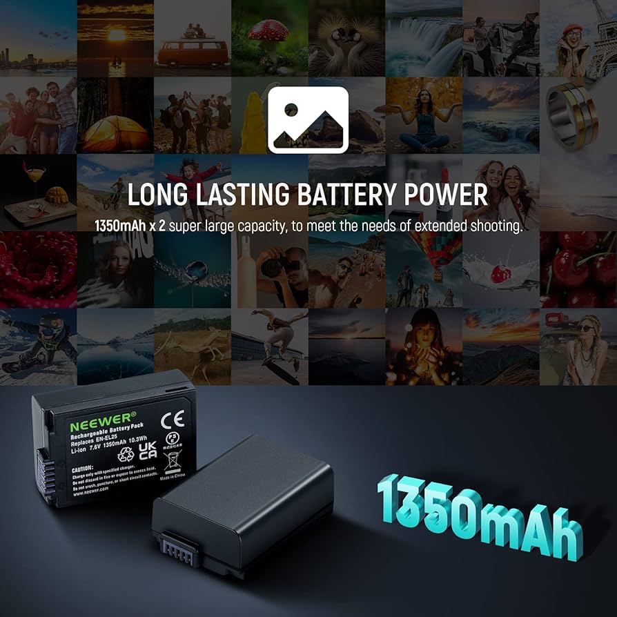 Amazon.com : NEEWER Replacement Battery and Charger Set for EN