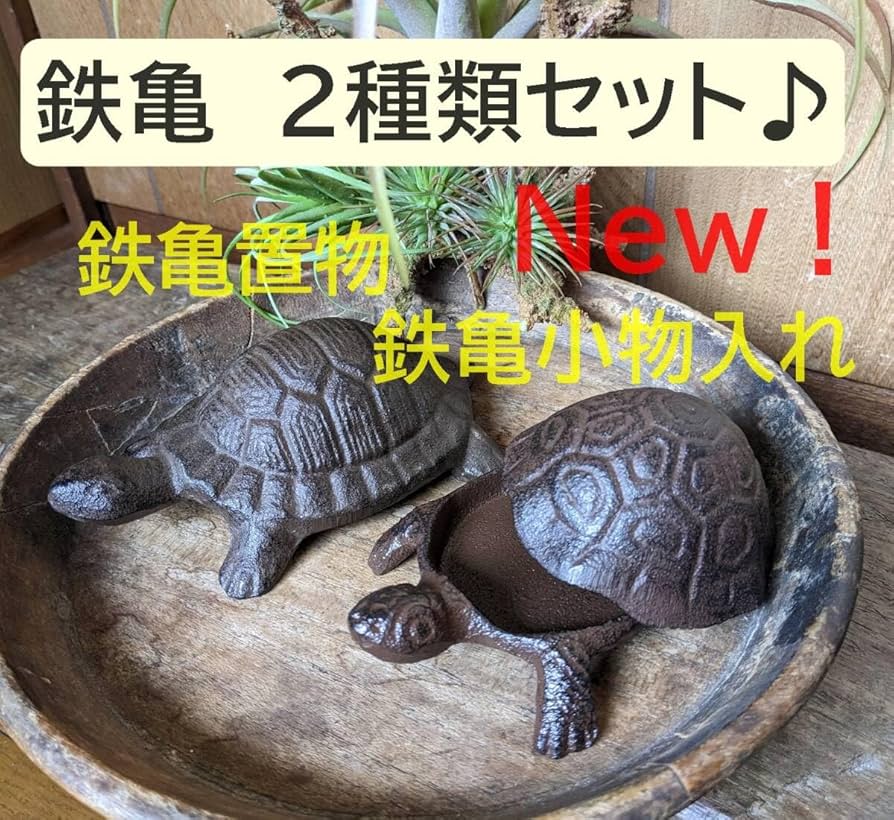 Amazon.co.jp: 鉄亀置物＆鉄亀小物入れ お得な2種類セット 縁起物
