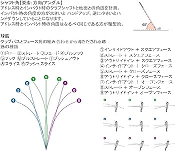 Amazon | GARMIN(ガーミン) Approach ゴルフスイングチェッカー