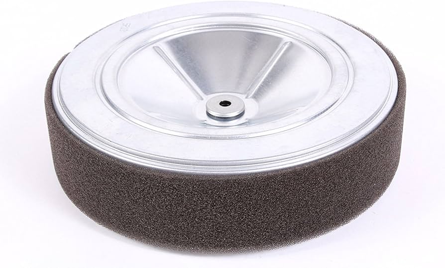 Amazon.com : Honda 17210-Z6L-010 Air Cleaner Element : Patio, Lawn