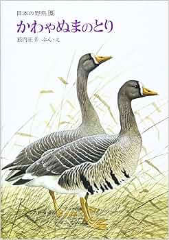 8166LVwFC0L._AC_UF350,