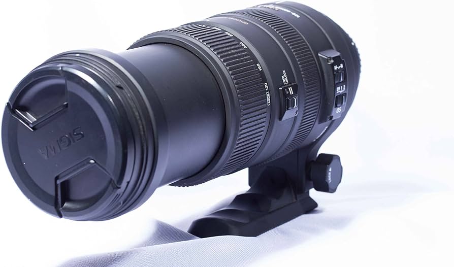 Amazon.com : Sigma 120-400mm f/4.5-5.6 AF APO DG OS HSM Telephoto
