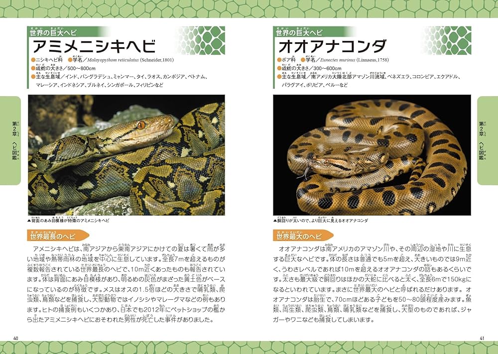 Amazon.co.jp: みんなが知りたい! ヘビのひみつ 長くてこわくて
