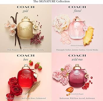 Amazon.com: COACH Wild Rose 3 Piece Set : Beauty & Personal Care