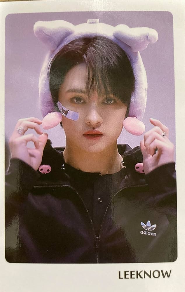 Amazon.co.jp: スキズ リノ グッズ フォトカード56枚セット メッセージ