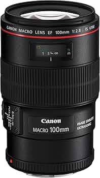 Amazon.com : Canon EF 100mm f/2.8L IS USM Macro Lens for Canon