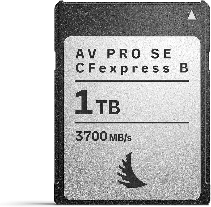 Amazon.com: Angelbird AV PRO SE CFexpress B v4 1 TB - CFexpress