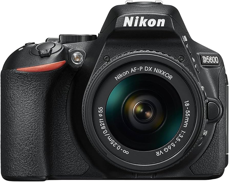 Amazon.com : Nikon D5600 DX-format Digital SLR w/ AF-P DX NIKKOR