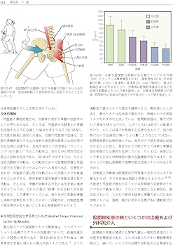 筋骨格系のキネシオロジー 原著第3版 | Donald A.Neumann, P.D.Andrew