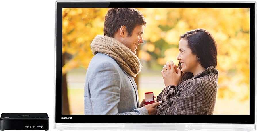 Panasonic 液晶テレビ UN-24F6D UN-E6S セット アンテナ線のない部屋