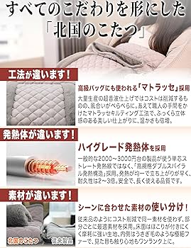 Amazon | 電気足温器【北国のこたつ】ホットカーペット ミニ 足元