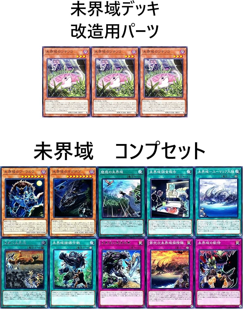 Amazon.co.jp: 未界域のビッグフット 未界域のサンダーバード 未界域