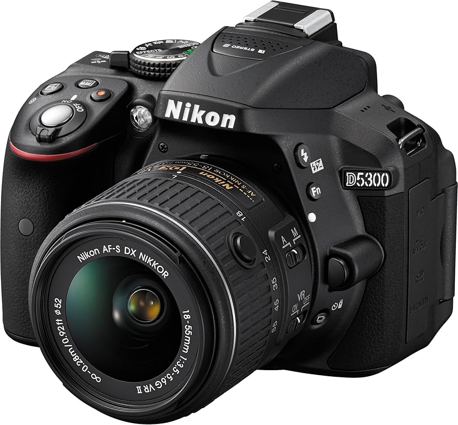 Amazon Canada: Nikon D5300 24.2 MP CMOS Digital SLR Camera with 18