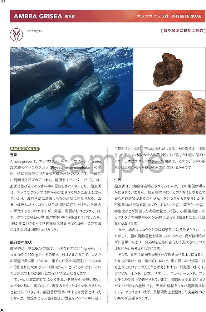 新・臨床家のためのホメオパシーマテリアメディカ 上巻 | 森井 啓二