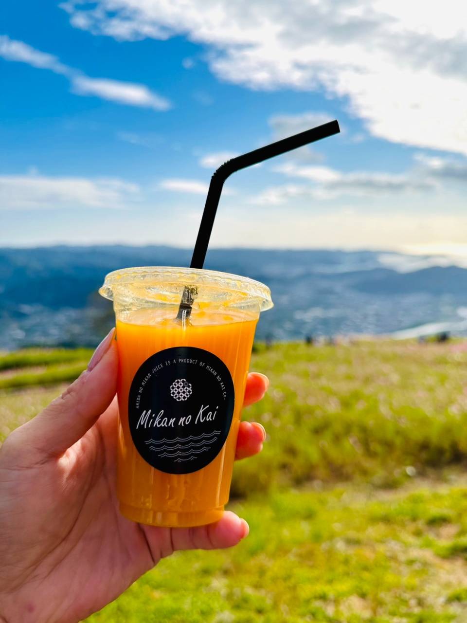 イベント情報】第2弾！コスモスパーク🌸でみかんジュース販売会｜株式