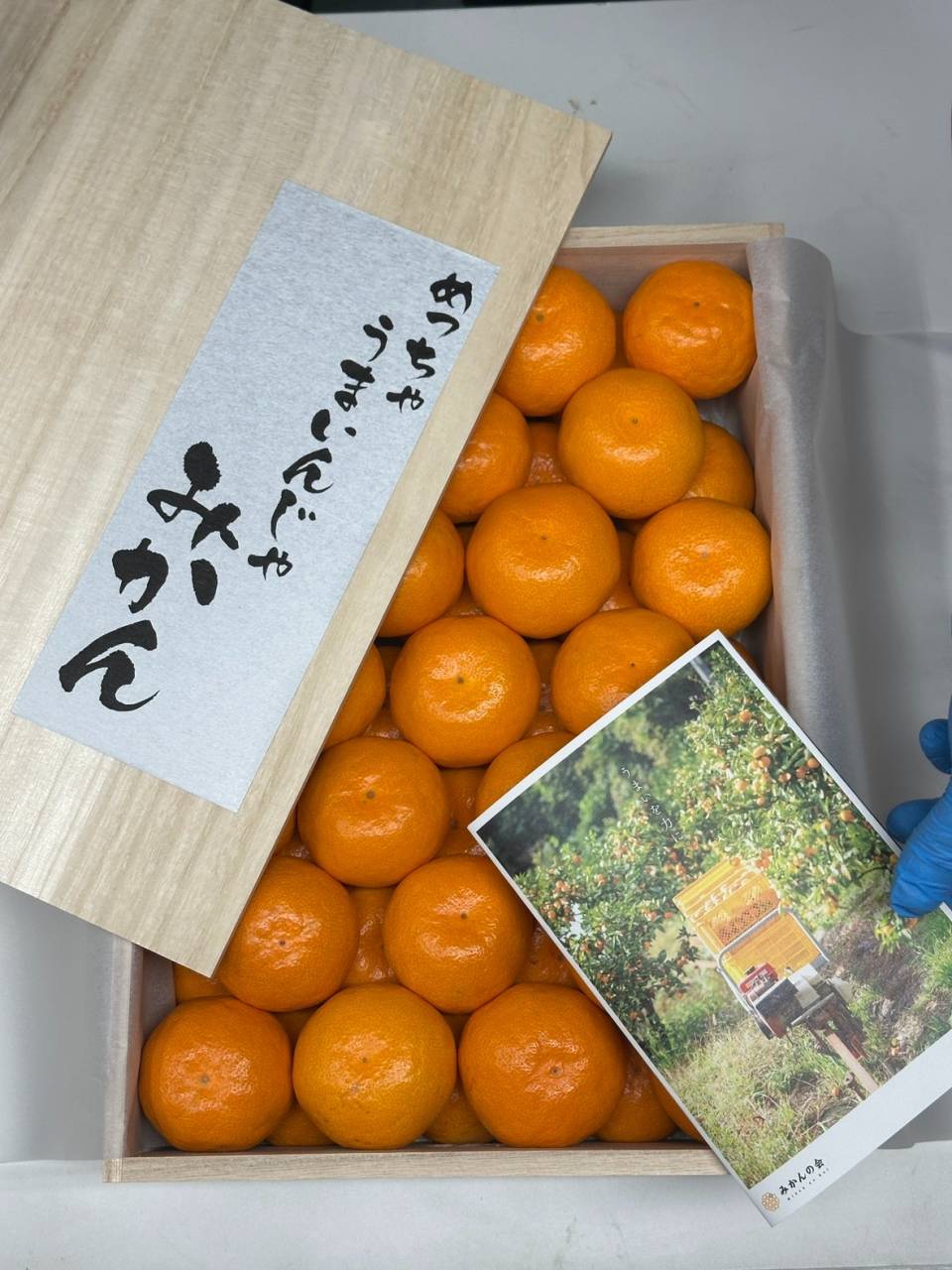 めっちゃうまいんじゃみかん🍊箱詰めの様子をお届け✨｜株式会社みかん