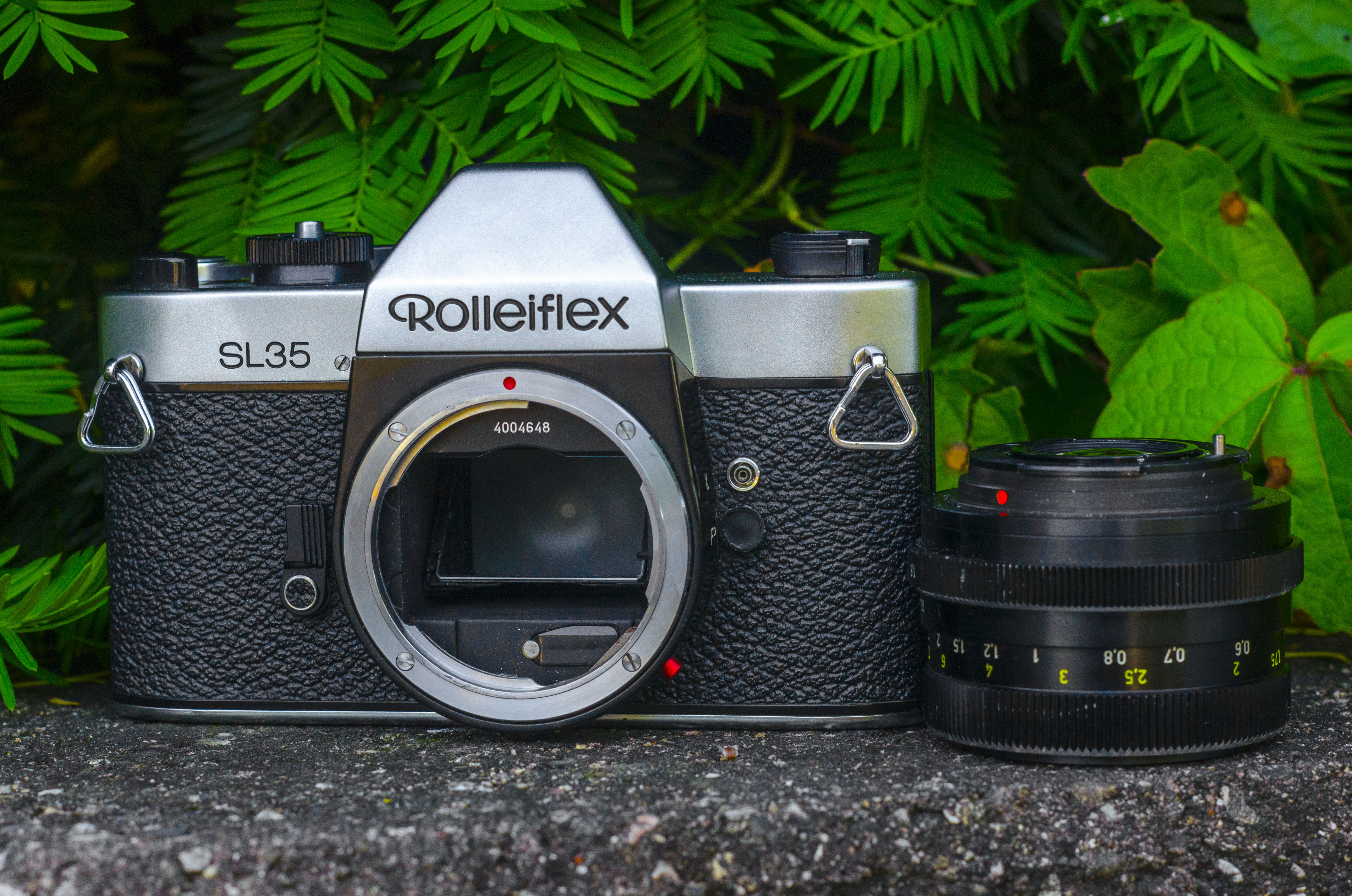 Rolleiflex SL35 (1970) - mike eckman dot com