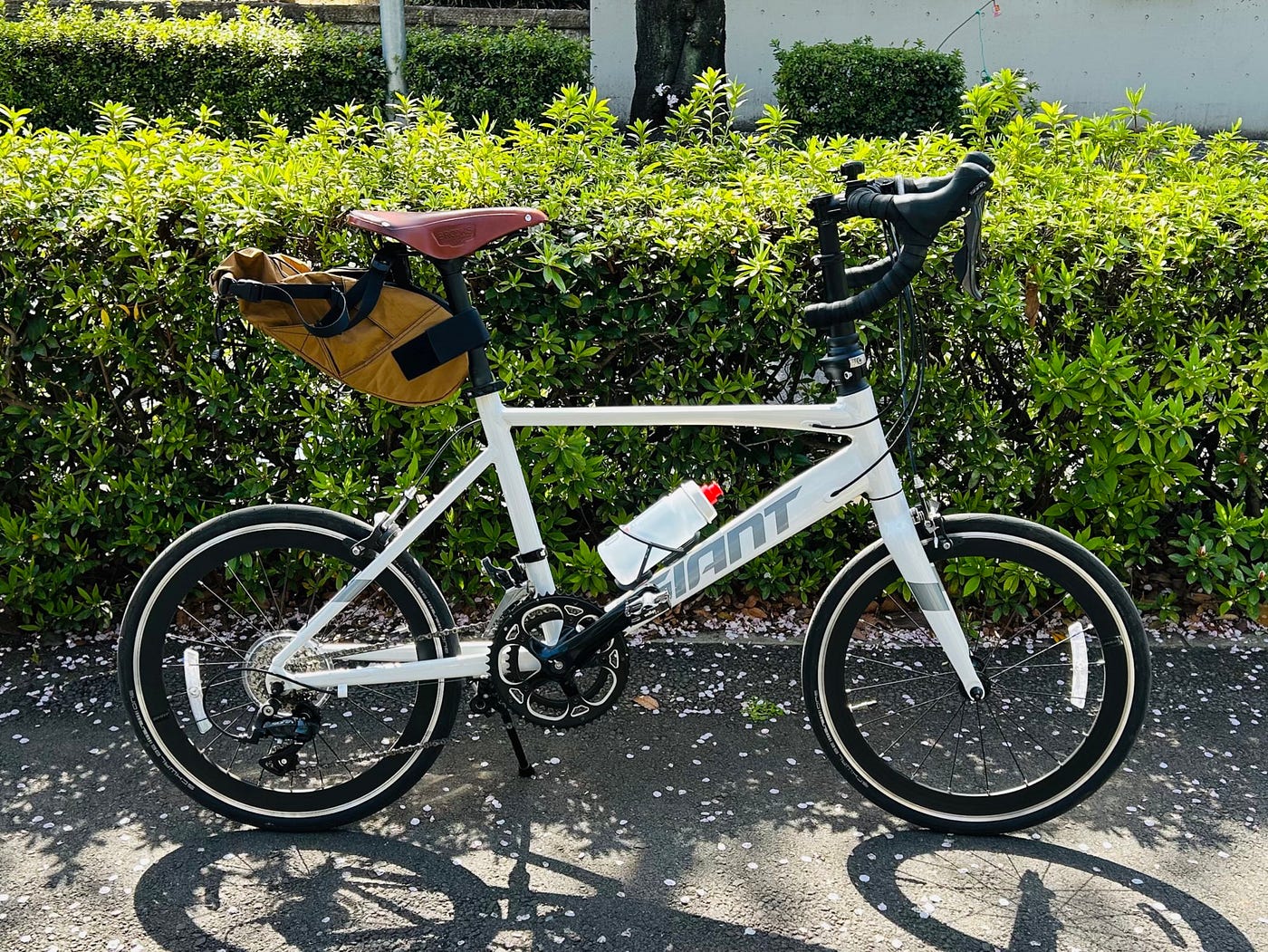 GIANT IDIOM 1を買って1年経った — 実際に使ってみた感想 | by Takuya