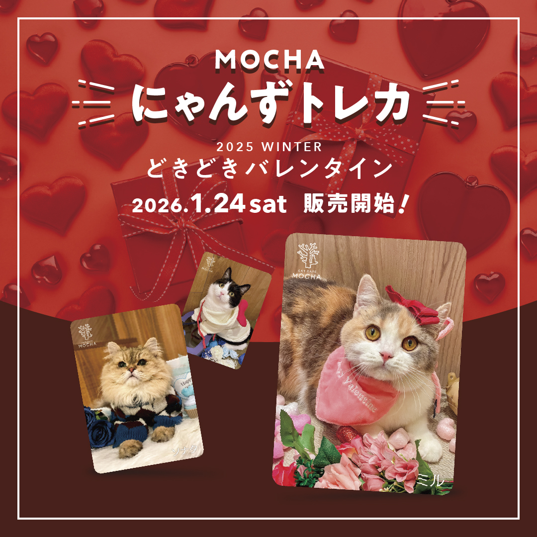 冬限定トレカのお知らせ | ららぽーと名古屋みなとアクルス