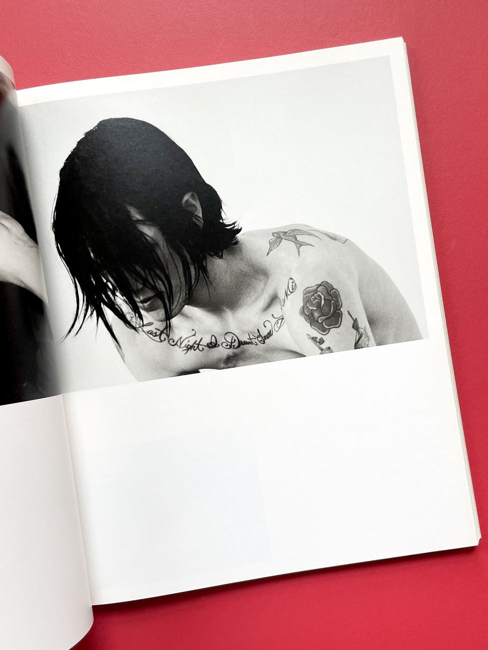 Monograph Bookwerks | Hedi Slimane: Anthology of a Decade, France