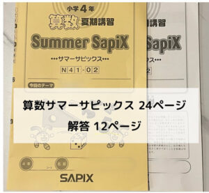 サピックス(SAPIX)夏期講習プリント量・内容 4年｜中学受験 - kirin の