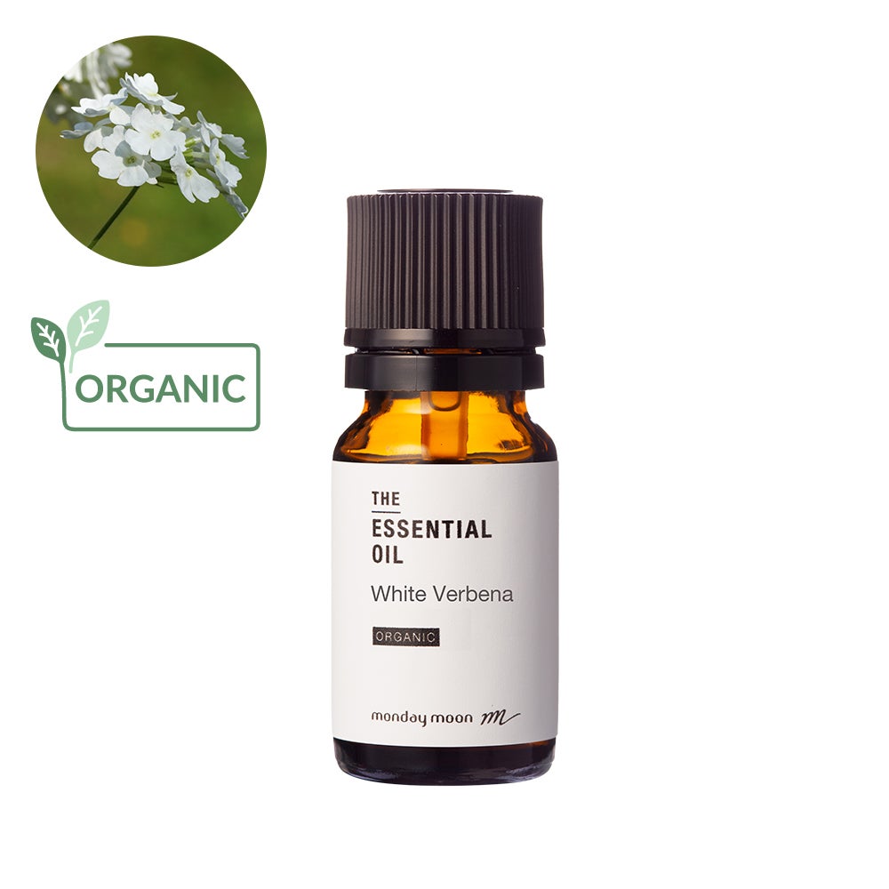 ブルータンジー・エッセンシャルオイル・野生種／10ml | マンデイムーン