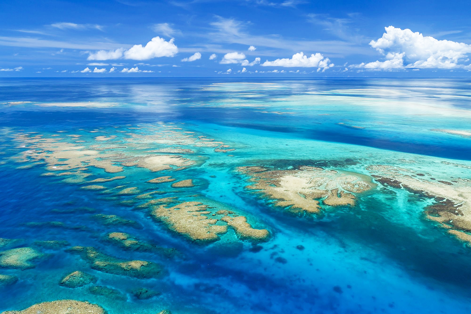 アクアベース | 宮古島 八重干瀬ツアー専門