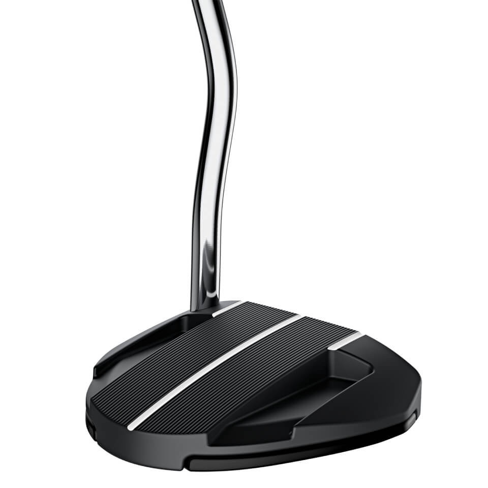 ピンゴルフ／PING PUTTER／DS72 C パターの口コミ評価｜ゴルフクラブ