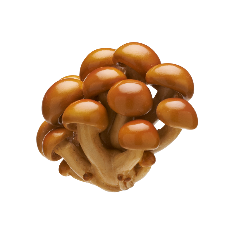 NTC MONO＋ キノコマグネット1 – ネイチャーテクニカラー公式