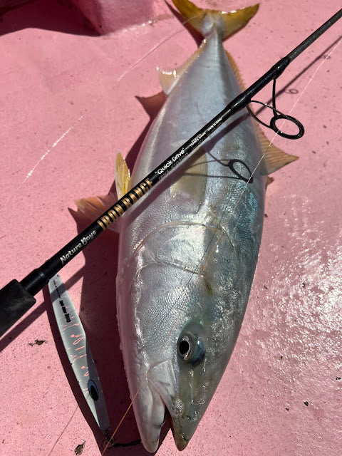 SPINRIDERDEEP/スピンライダーディープ – natureboysofficialwebstore