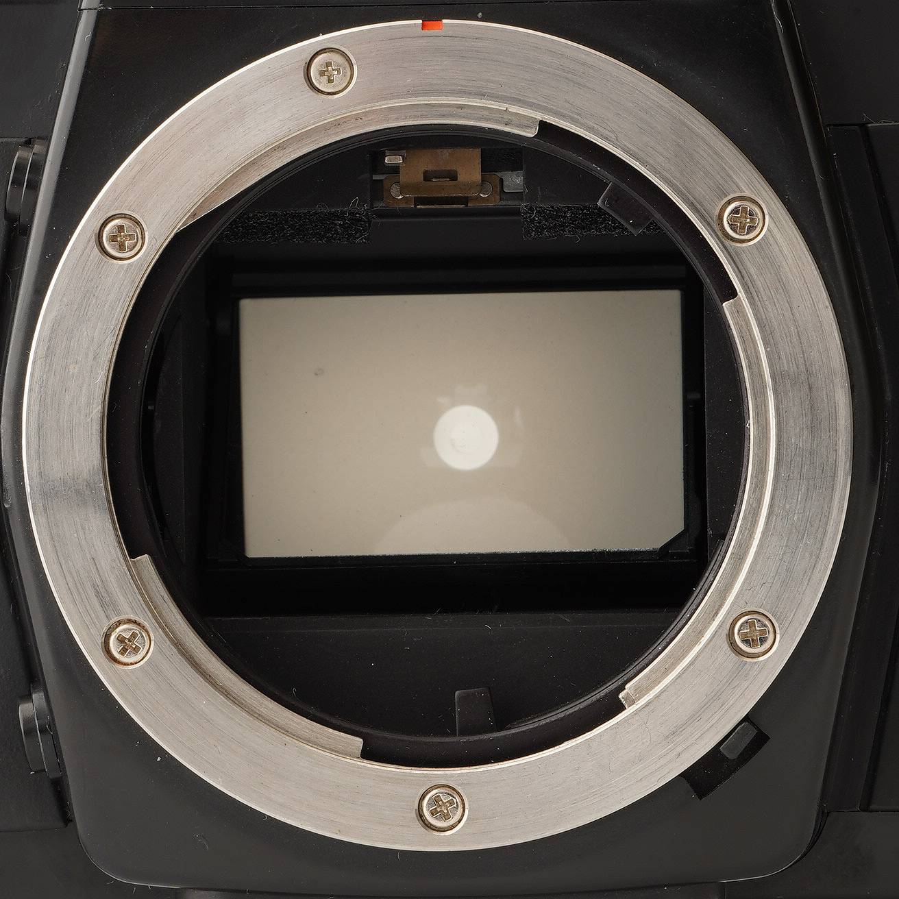 コンタックス Contax Aria ボディ – Natural Camera / ナチュラルカメラ