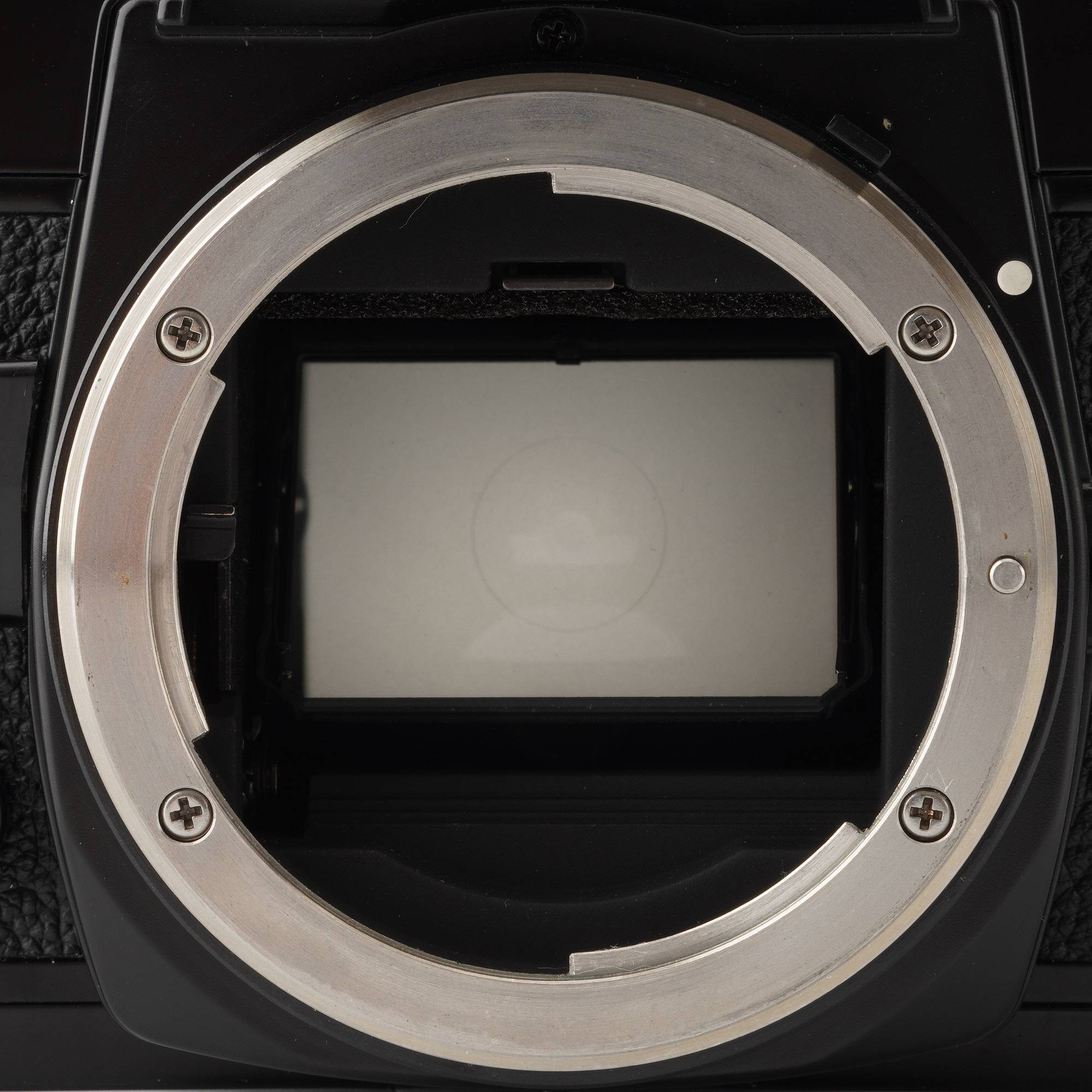 ニコン Nikon New FM2 ブラック 35mm 一眼レフフィルムカメラ