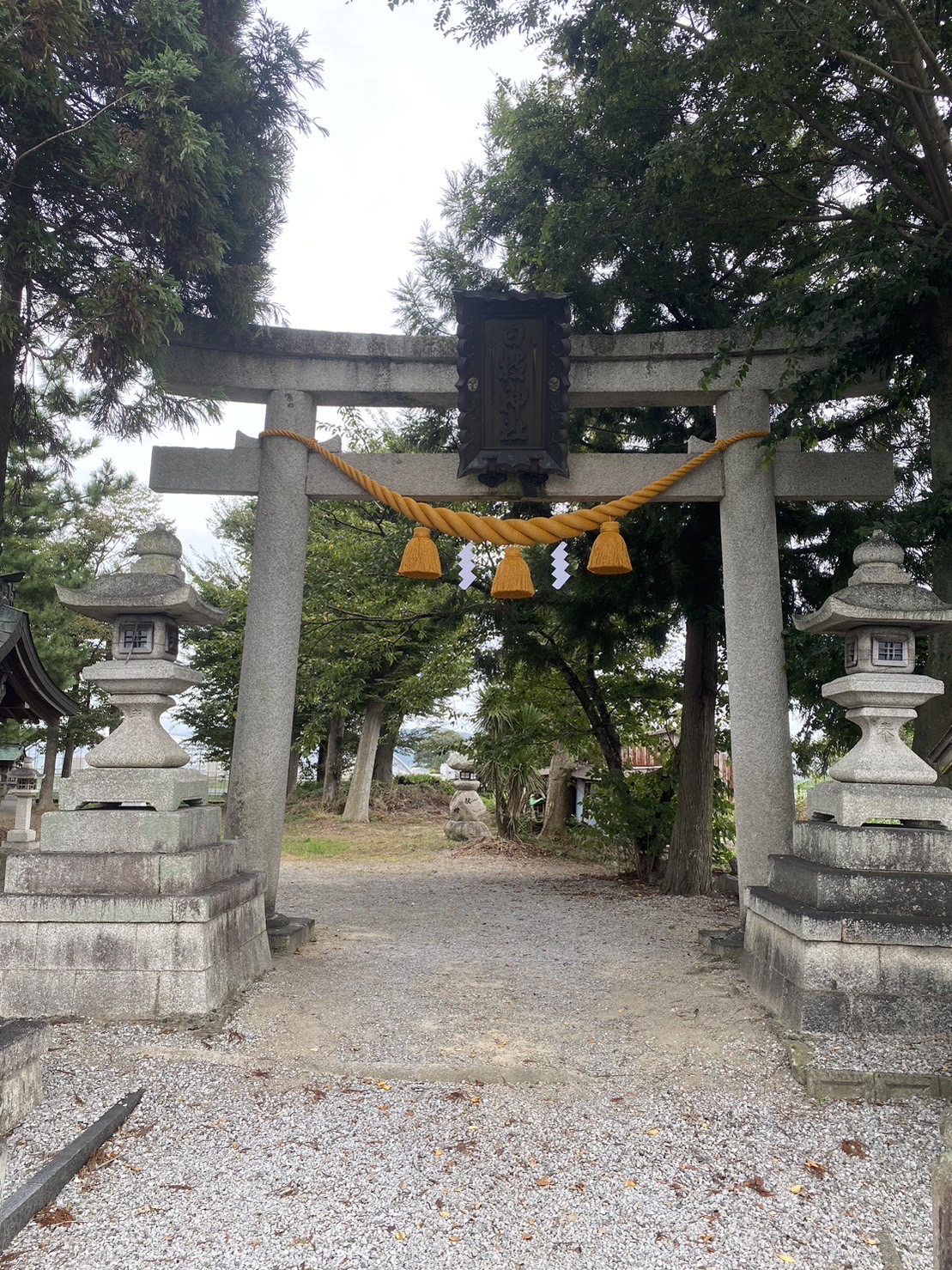 出張取り付け 滋賀県 - 縄合屋(なわわせや) | 神社用しめ縄の製造販売