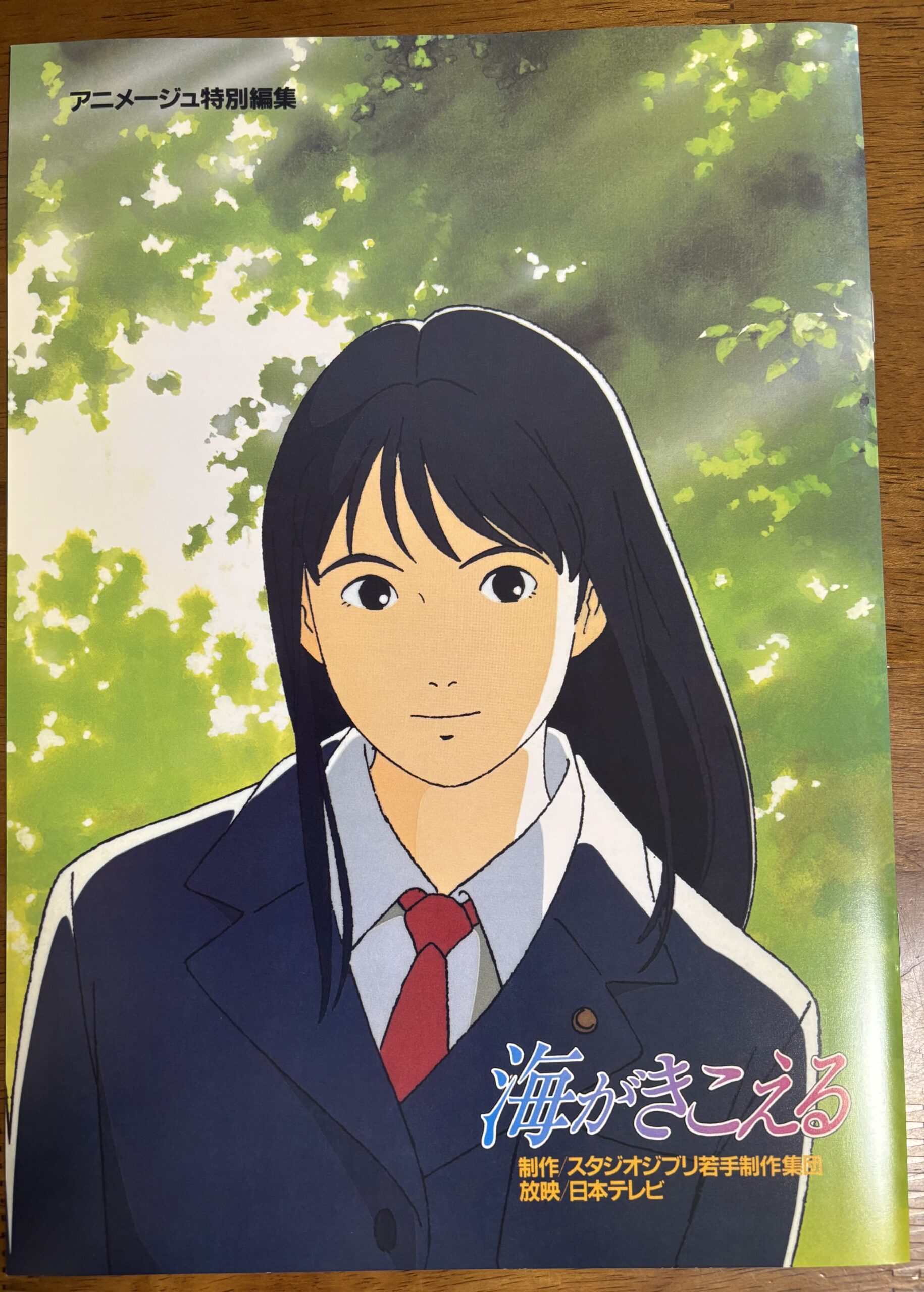 海がきこえるリバイバル】アニメとドラマと原作と。 | 眠りねこの本