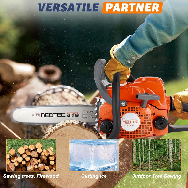 6_81sca3R87tL._AC_SL1500_800x.