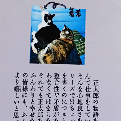 猫探偵・正太郎の冒険 1.2 柴田よしき カッパ・ノベルス 猫探偵