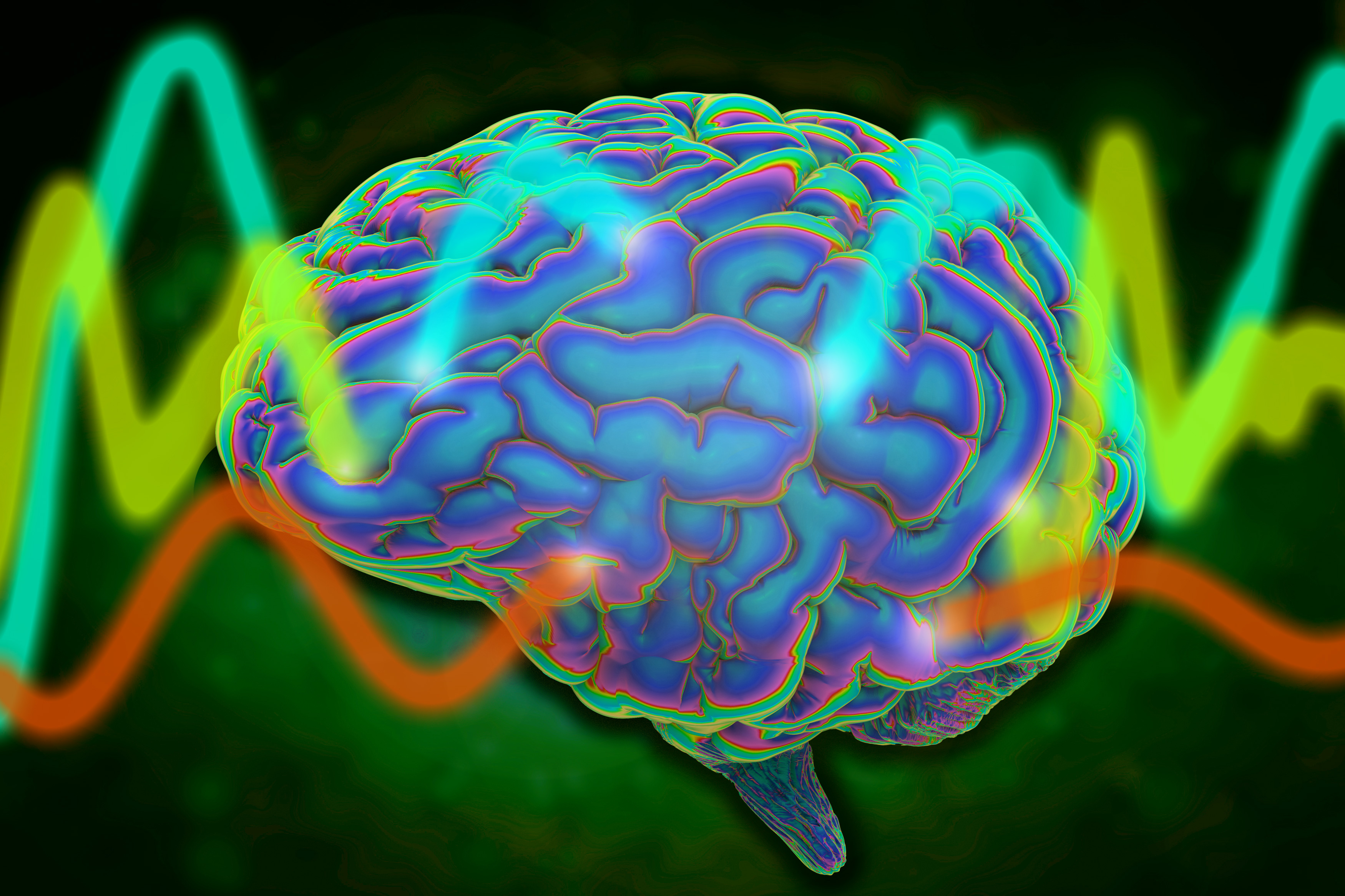 Study reveals a universal pattern of brain wave frequencies | MIT