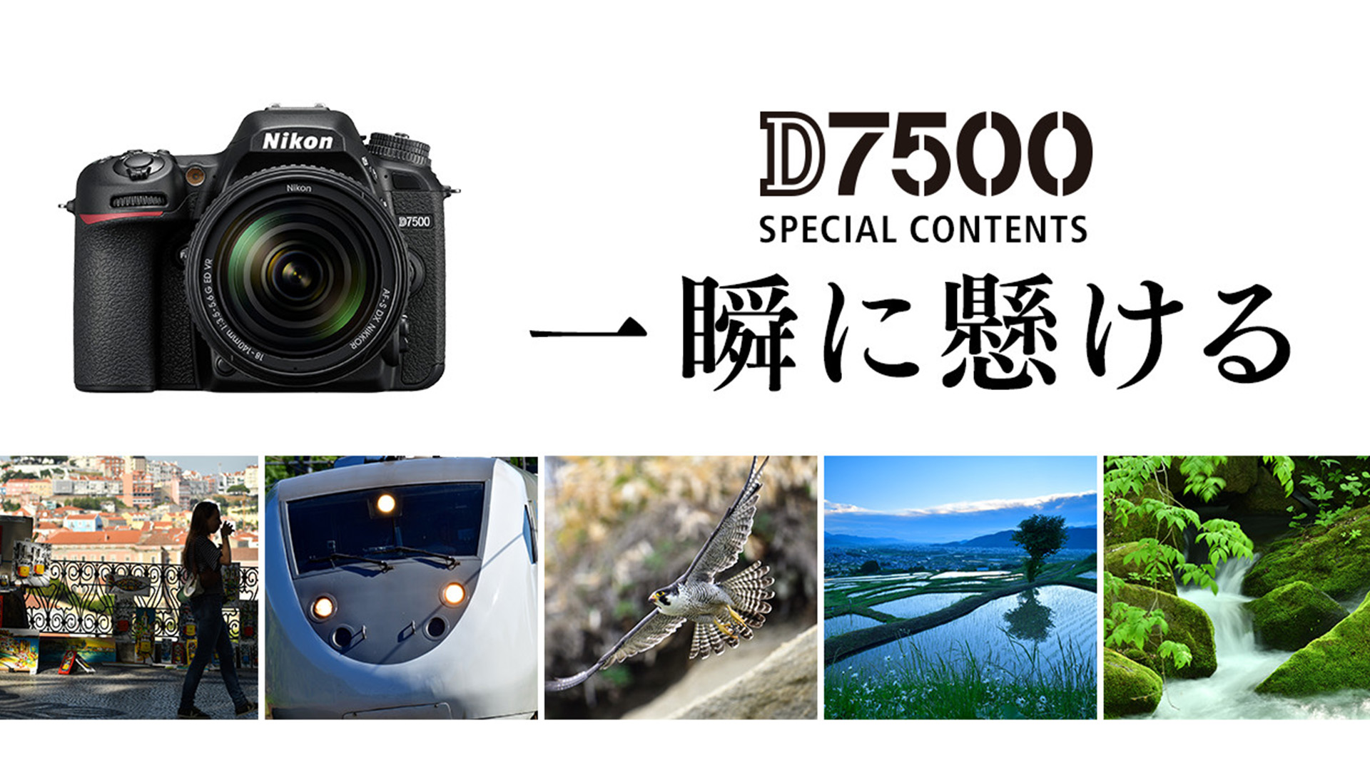 一眼レフカメラ | ニコン