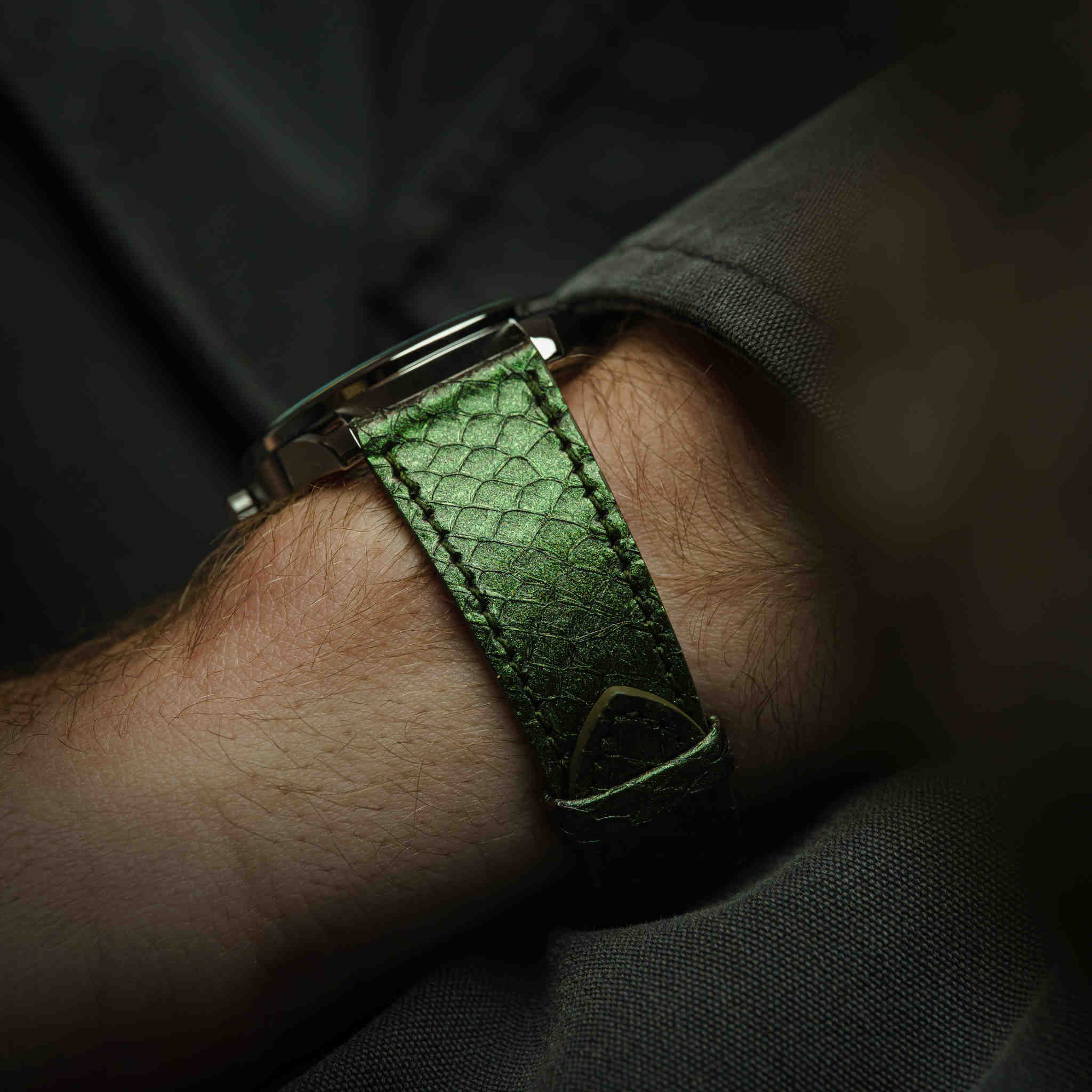 ジュラシック・ウォッチ RAPTORS エディション | アウェイク | 高級