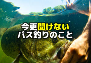 今更聞けない、バス釣り用語 | バス釣りを学ぼう！野尻湖釣具店ブログ