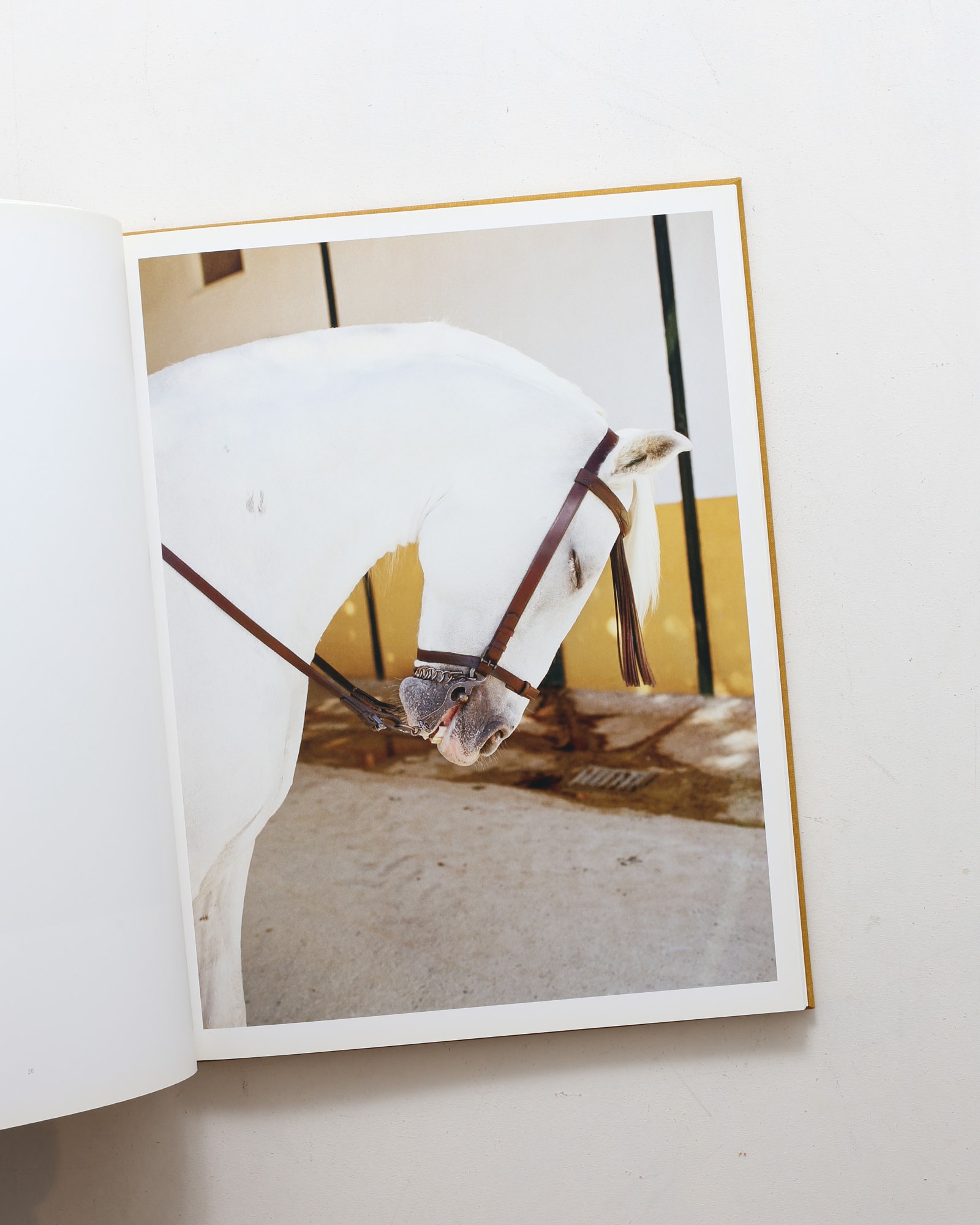 Horse | Jitka Hanzlova | nostos books ノストスブックス